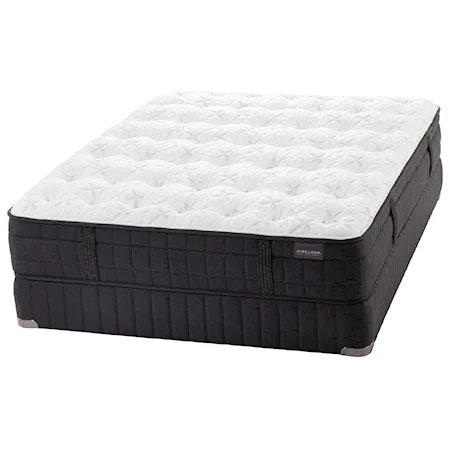 Twin Plush Latex Mattress and Low Profile Foundation